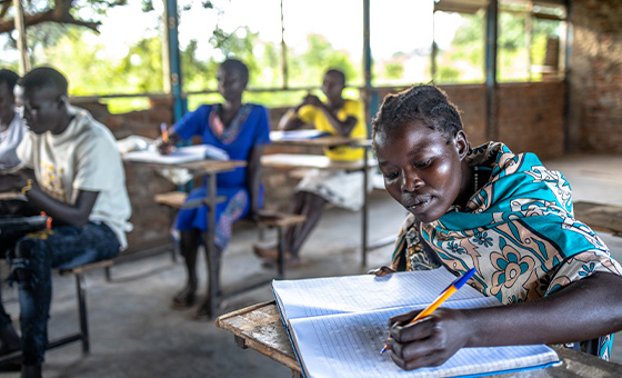 USAID South Sudan Youth Empowerment Activity