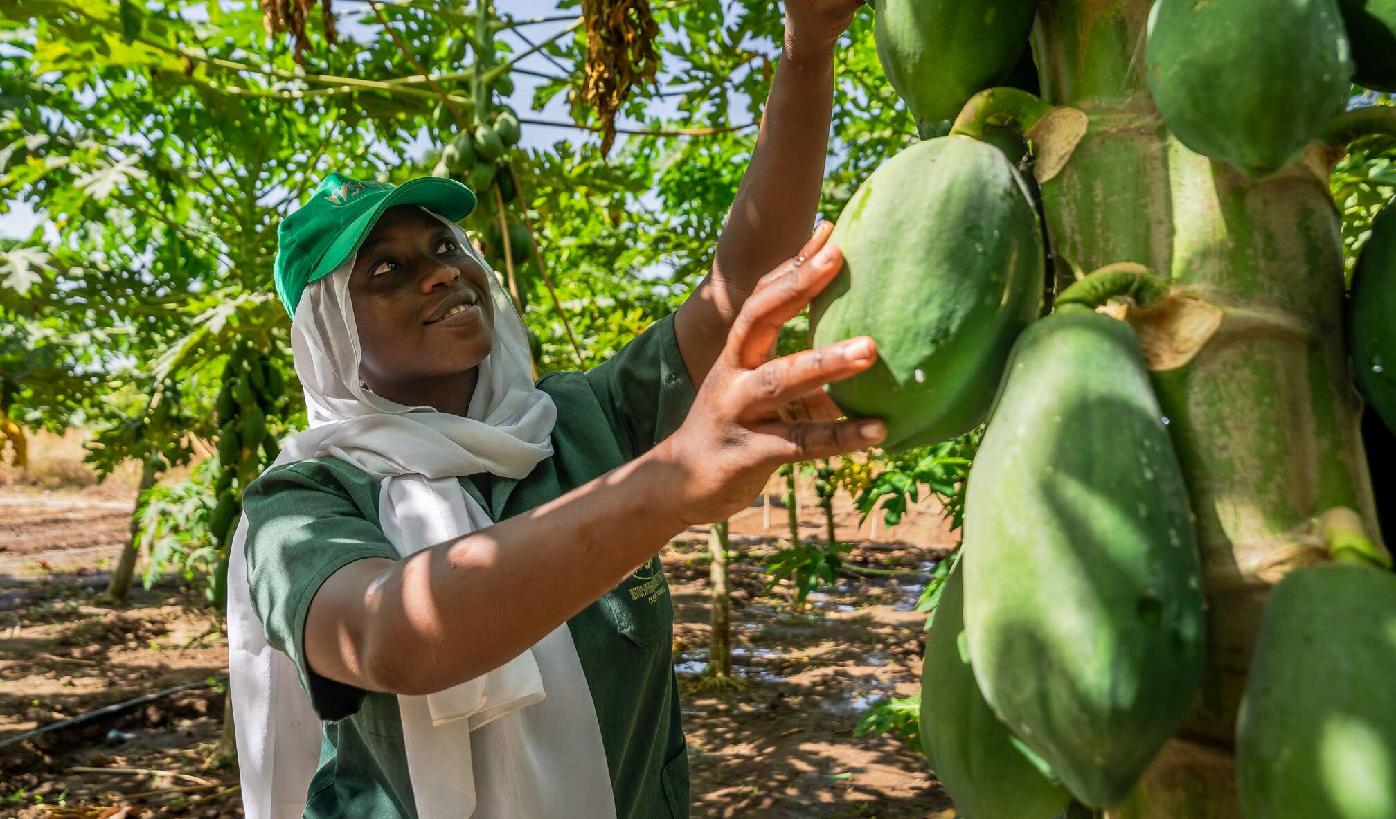 Youth picking fruit in a field, wearing a hat on his head and smiling, as part of sustainable farming practices.