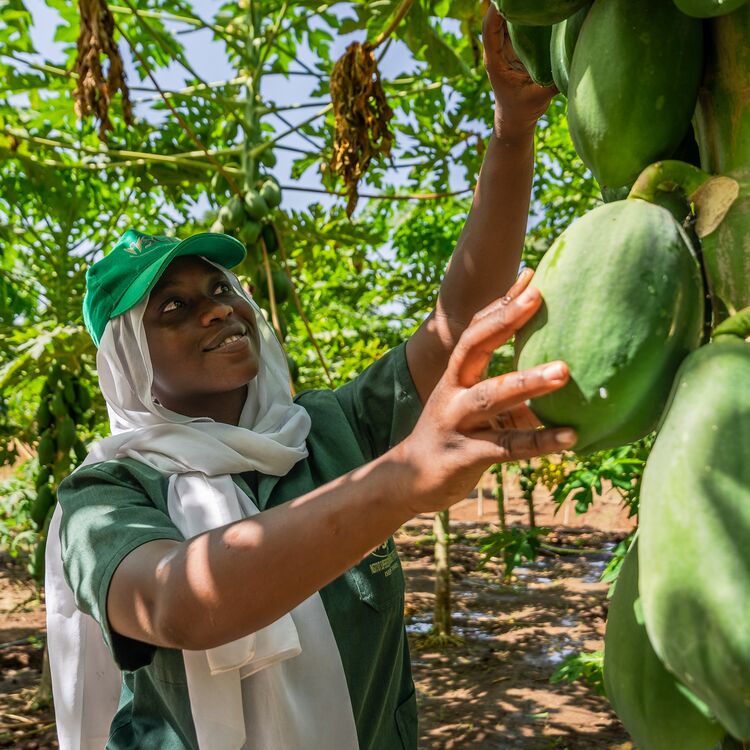 Youth picking fruit in a field, wearing a hat on his head and smiling, as part of sustainable farming practices.