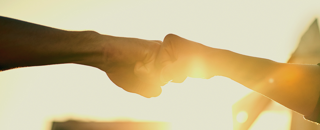 a fist bump between two people with sunlight in the background to describe "Building Market Share and Market Skills"