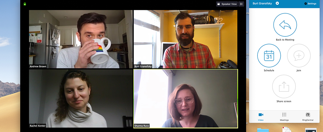 A screenshot from a conference call with EDC experts to illustrate for "4 Tips for Staying Connected While Working from Home"