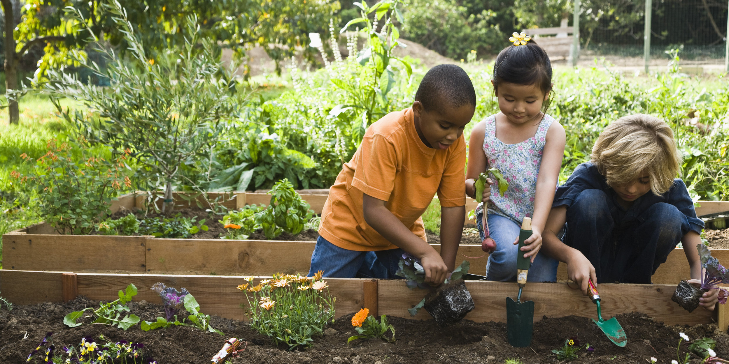 A photo of students engaged in an activity representing Why Are Out-of-School Time Programs So Important?